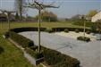 Bury Natural Stone - Terrace & Driveway